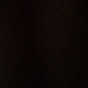 Meet your Posher, Ricky